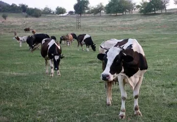 Спасяват европари с фонд за фермери