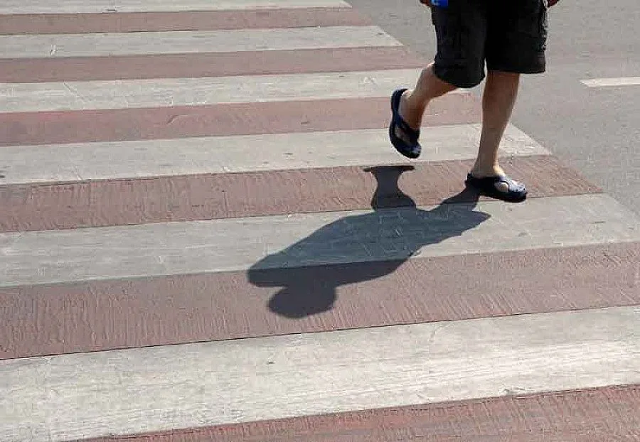 Полицаи дават дежурства до зебрите