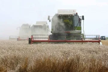 Дъждът и сушата съсипали реколтата