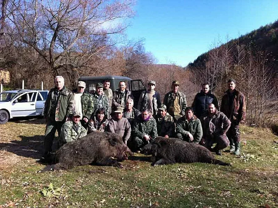 250-килограмов глиган гръмнаха в Горна Диканя