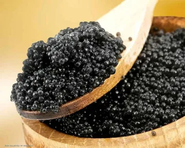 Търгуват хайвер за 6000 евро на черно