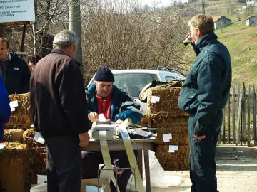 До дни започва изкупуването на тютюна в Кърджалийско 