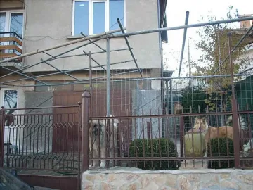 Спортистка с черен пояс изчезна след тренировка