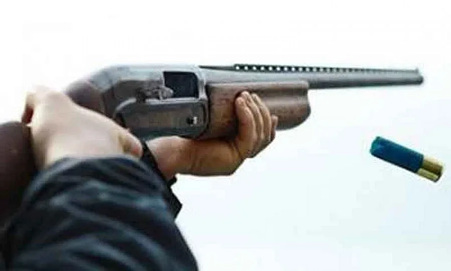 Ловец убил с един куршум два елена