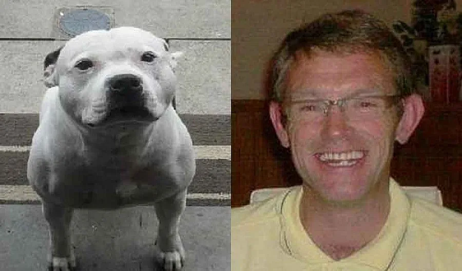 Бултериер пази 4 дни мъртвия си стопанин