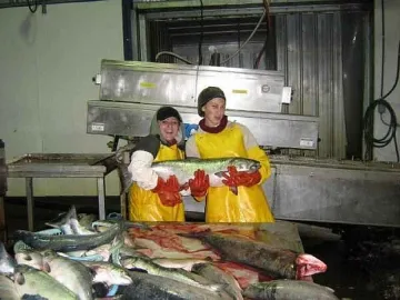 САЩ връщат 3,5 млн. долара на наши студенти