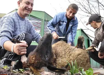 Мюсюлманите празнуват Курбан байрам