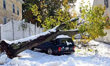 Снежна буря уби 8 и остави милиони без ток