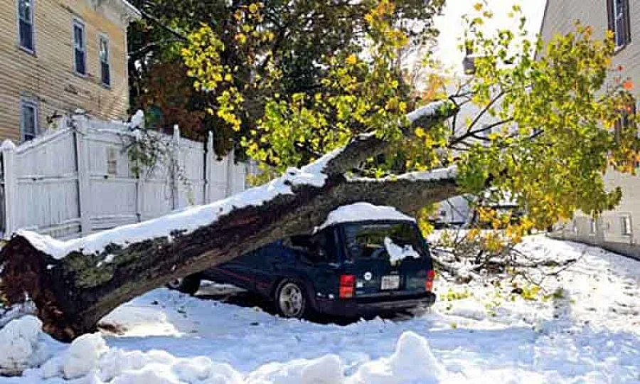 Снежна буря уби 8 и остави милиони без ток