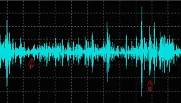 3,1 по Рихтер даде старт на гласуването в Родопите