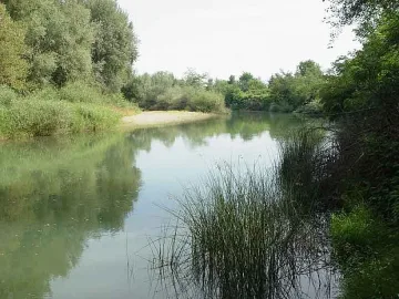 Стрелба на границата със Сърбия завърши с арест