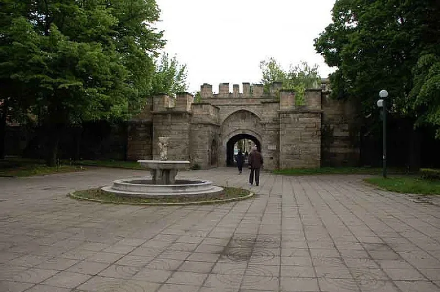 10 000 пред урните във Видин до обяд