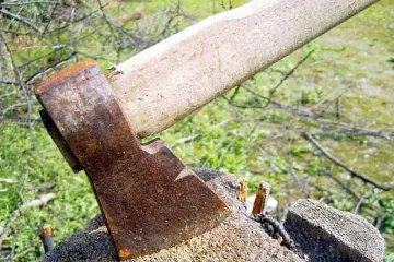 Кмет и синът му нападат роми с брадви