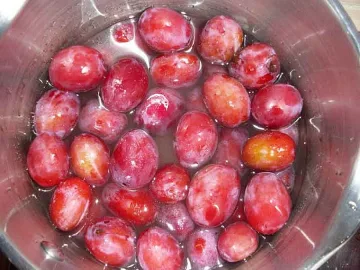 Първанов спаси 40 литра ракия от алпийски сливи