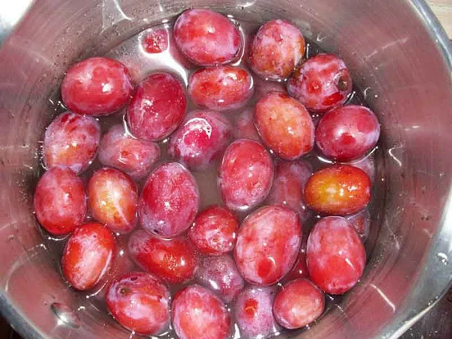 Първанов спаси 40 литра ракия от алпийски сливи