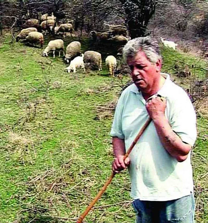 Намалиха присъдата на изнасилвач на дете