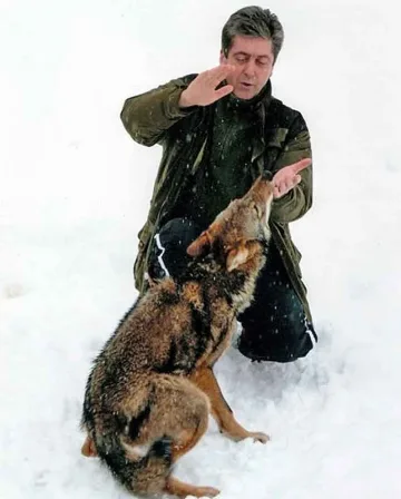 Ловци от Сирищник: Ние ги тепаме вълците, не ги развъждаме! 