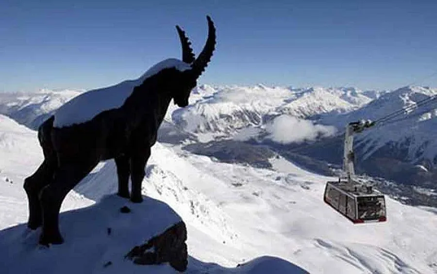 Откриха похитения козел на швейцарската Атака