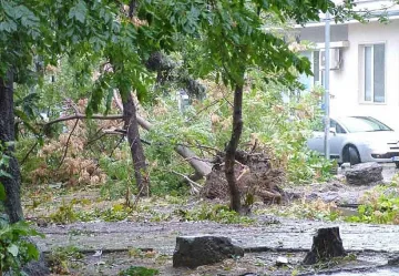 Снежната стихия взе две жертви