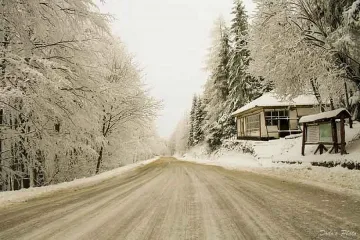 Семейство заклещено в Балкана два дни без вода, храна и топло