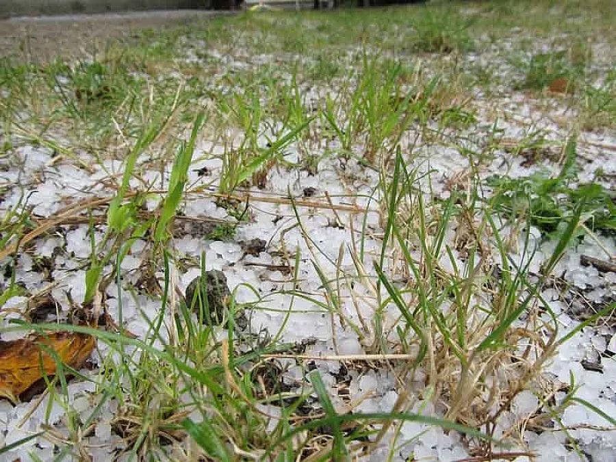 Пожарникари вадят деца от закъсал в снега автобус