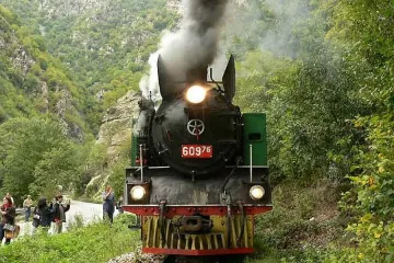 Немци взимат теснолинейката до Добринище