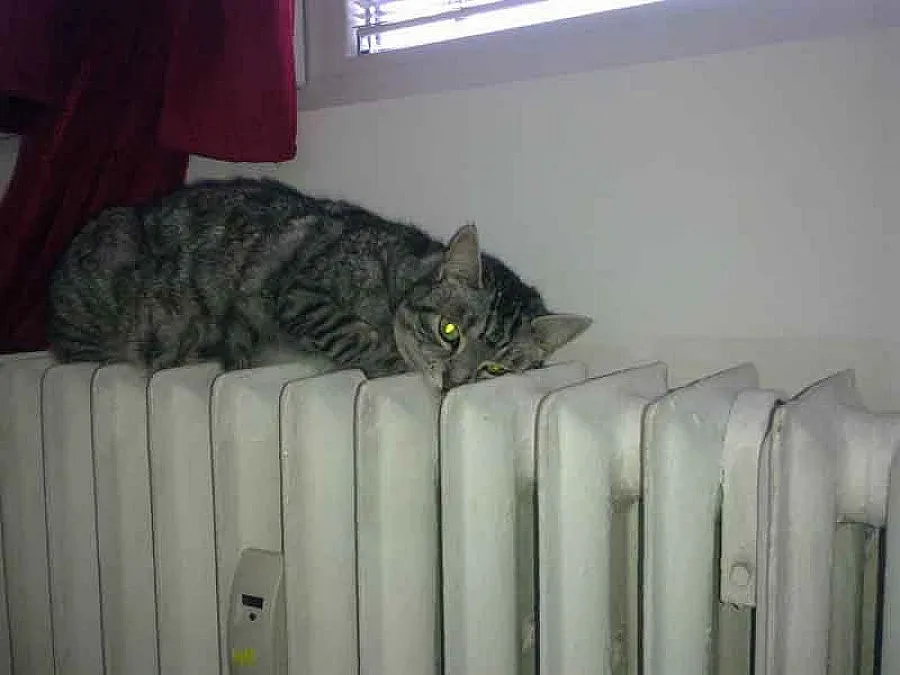 Пускат парното в понеделник