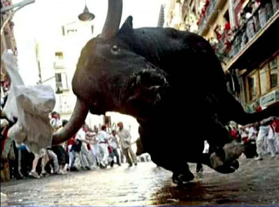 Бивол, подготвян за пържоли, избягал от ресторанта