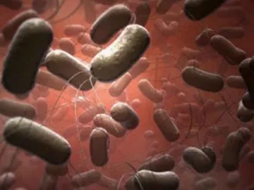 Ешерихия коли - по всеки шести телефон