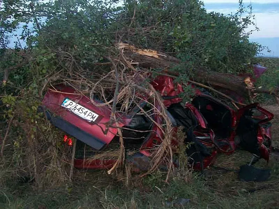 Пиян разцепи дърво със ситроен, шестима ранени