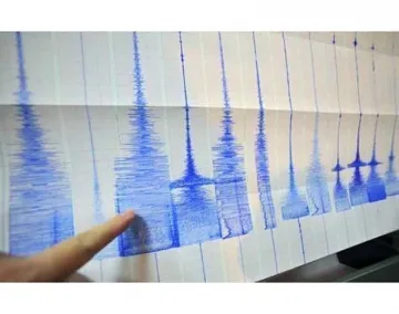 Земетресения удариха САЩ и Бали