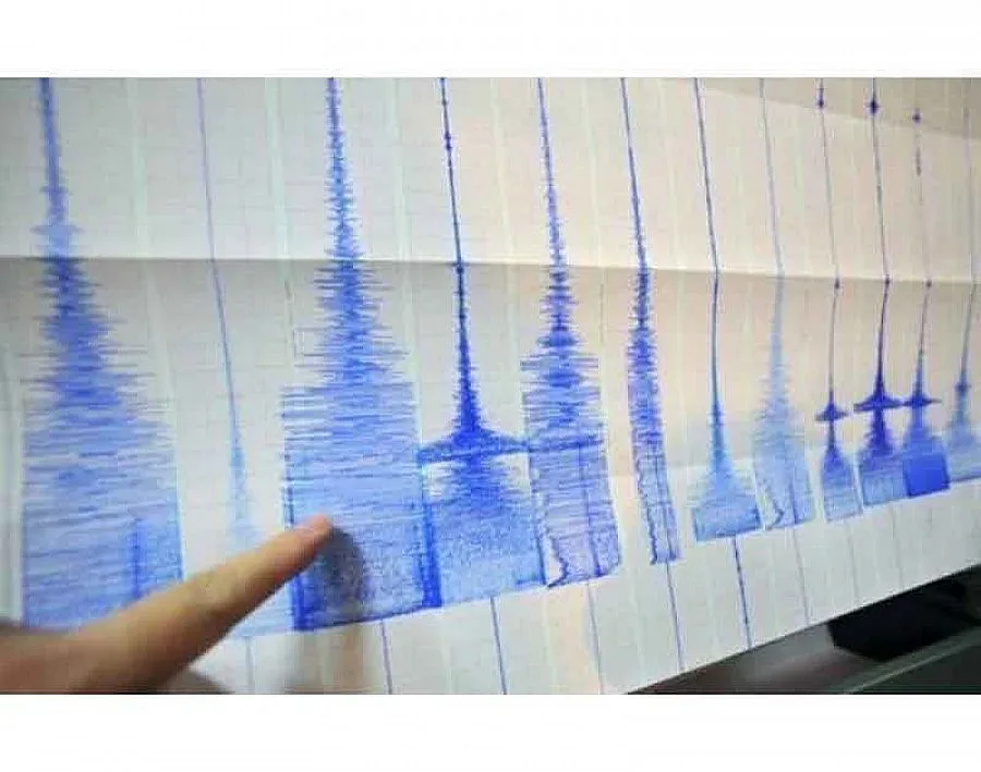 Земетресения удариха САЩ и Бали