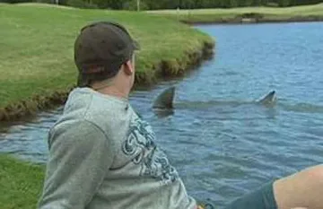 Eзеро с акули в голф игрище в Австралия    