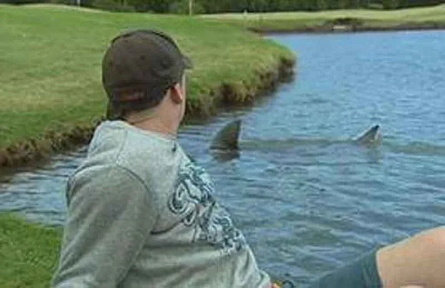 Eзеро с акули в голф игрище в Австралия