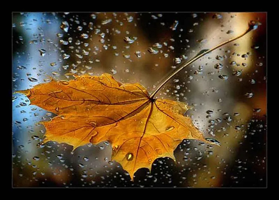 Бури и порои заливат Източна България