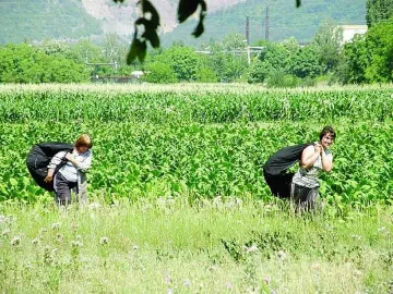 Тютюнджии : Цена от 5 лева нагоре или бунтове!
