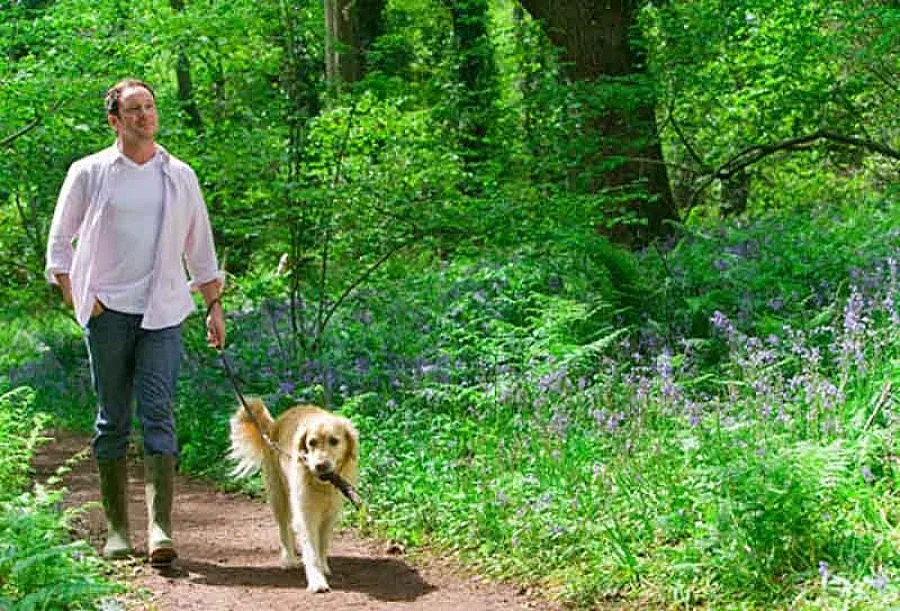 Кучето помага на мъжа да си хване гадже