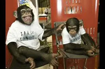 Иран се отказа да праща маймуна в космоса