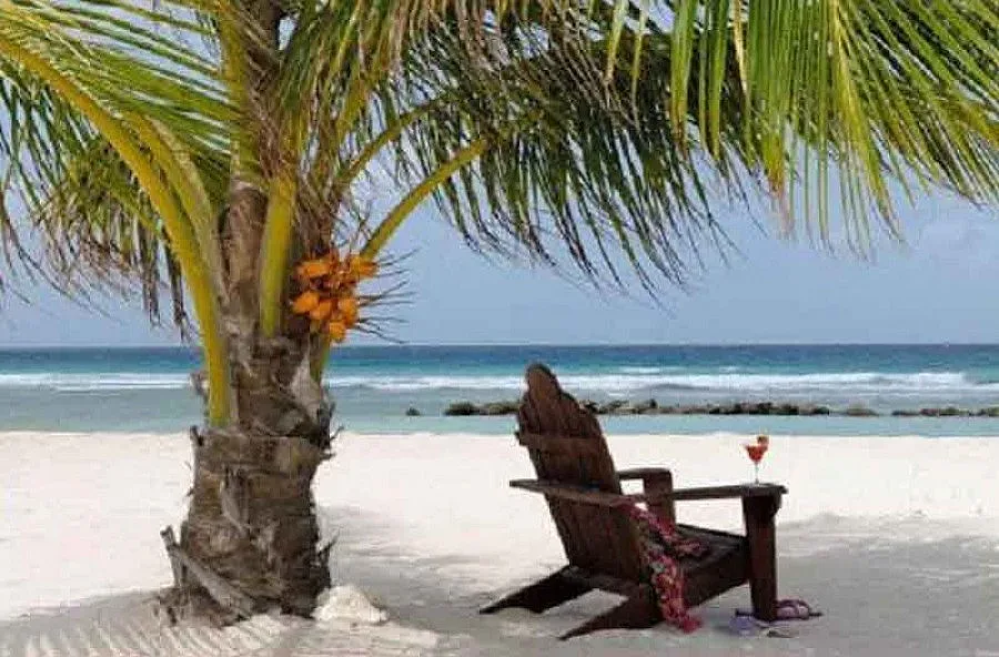 Нови застраховки пазят туристите