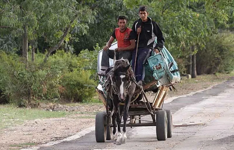 Ромите поискаха сигурност и спокойствие