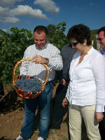 Лас Вегас пие наше вино