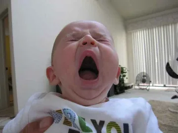 Прозявката охлажда мозъка