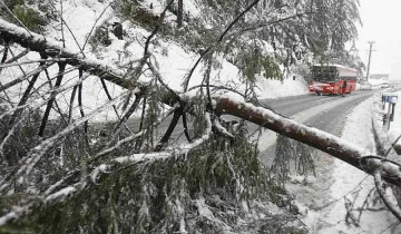 Сняг затрупа Австрия и Швейцария