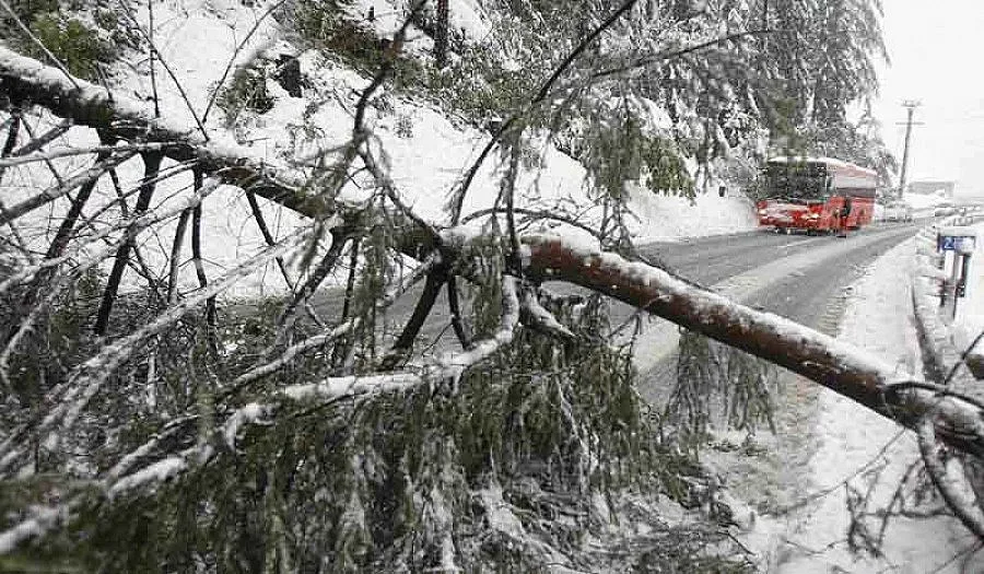 Сняг затрупа Австрия и Швейцария