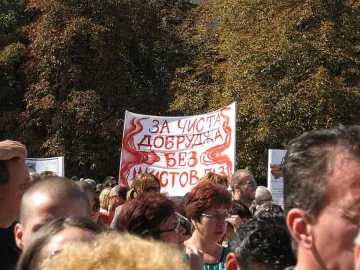 Плакати ядосаха Борисов