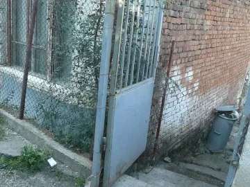 Кучето убило детето от ревност