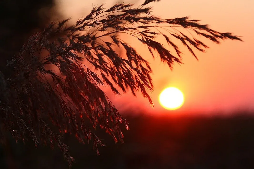 Седмицата започва с жега, но вече се задава промяна на времето