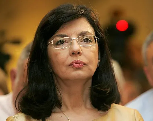 Кунева с 14 фалшиви фейсбука