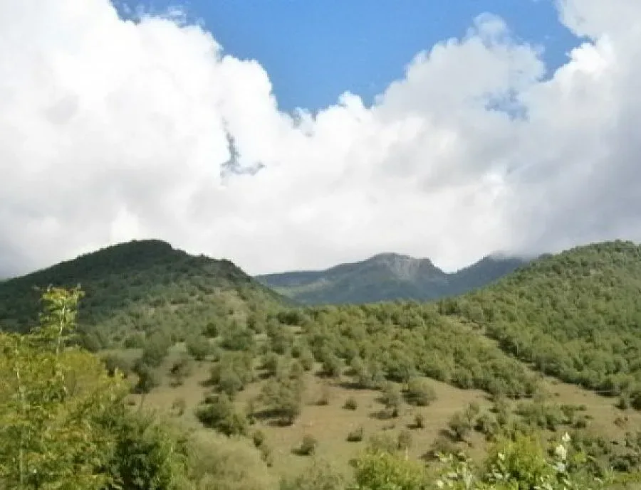 15 от ЕС нищят спасяването на банките