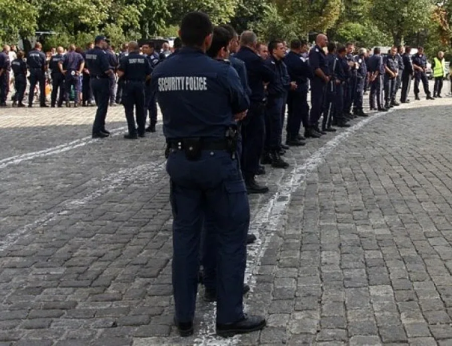 Птичи грип в Германия